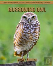 Burrowing Owl