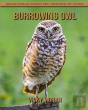Burrowing Owl