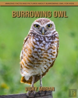 Bertrand.pt - Burrowing Owl