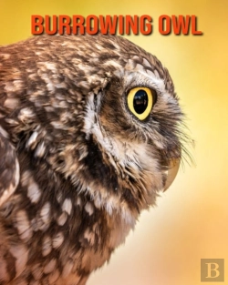 Bertrand.pt - Burrowing Owl