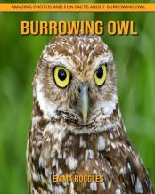 Burrowing Owl