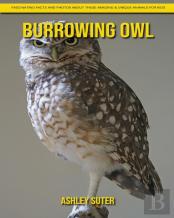 Burrowing Owl