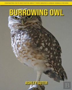 Bertrand.pt - Burrowing Owl