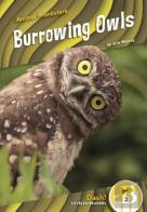 Burrowing Owls