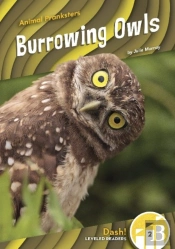 Burrowing Owls