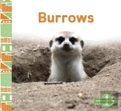 Burrows