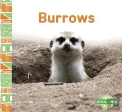 Bertrand.pt - Burrows