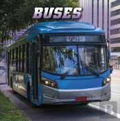 Buses