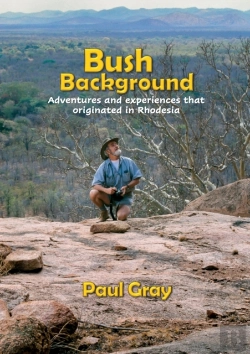 Bertrand.pt - Bush Background