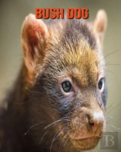 Bush Dog