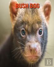 Bush Dog