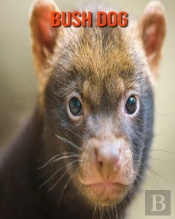 Bush Dog
