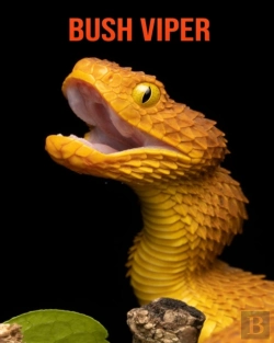Bertrand.pt - Bush Viper