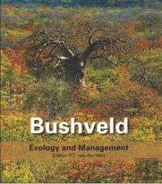 Bushveld