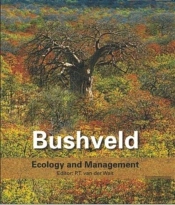 Bushveld