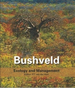 Bertrand.pt - Bushveld
