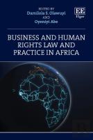 Business And Human Rights Law And Practice In Africa