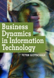 Business Dynamics In Information Technology