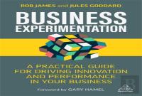 Business Experimentation