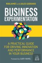 Business Experimentation