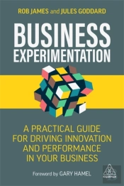 Business Experimentation