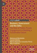 Business, Government And The Sdgs