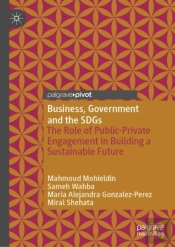 Business, Government And The Sdgs