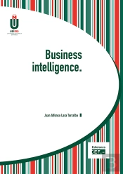 Business Intelligence