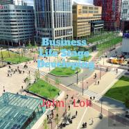 Business Life Stage Developing