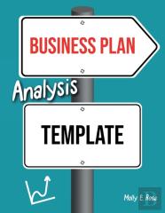 Business Plan Analysis Template