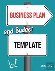 Business Plan And Budget Template