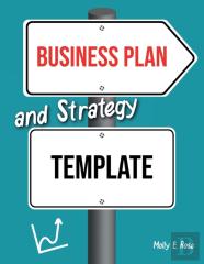 Business Plan And Strategy Template