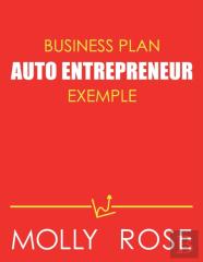 Business Plan Auto Entrepreneur Exemple