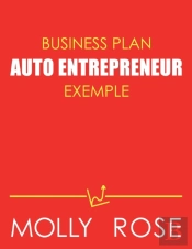 Business Plan Auto Entrepreneur Exemple