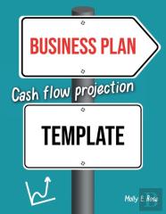 Business Plan Cash Flow Projection Template