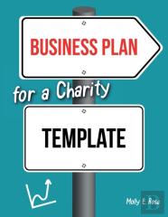 Business Plan For A Charity Template