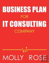 Business Plan For It Consulting Company