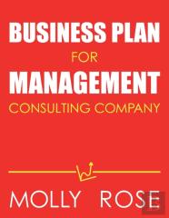 Business Plan For Management Consulting Company
