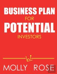 Business Plan For Potential Investors