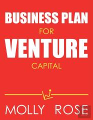 Business Plan For Venture Capital