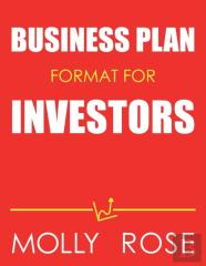 Business Plan Format For Investors
