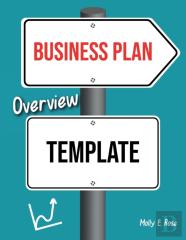 Business Plan Overview Template