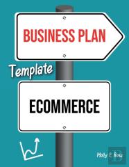 Business Plan Template Ecommerce