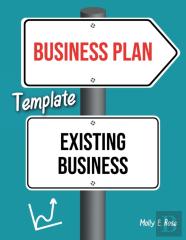 Business Plan Template Existing Business
