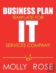 Business Plan Template For It Services Company