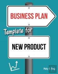 Business Plan Template For New Product