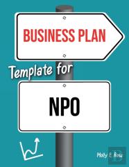 Business Plan Template For Npo