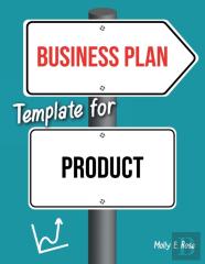 Business Plan Template For Product
