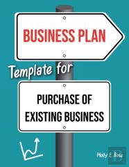 Business Plan Template For Purchase Of Existing Business