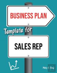 Business Plan Template For Sales Rep